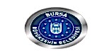 bursa